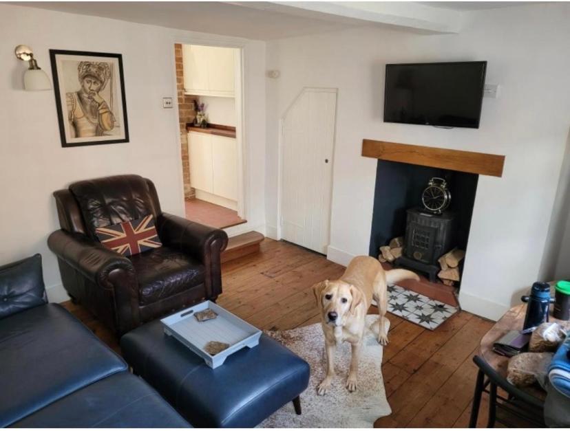Sweet & Cosy 10 Bridewell Cottage With Parking Available Upon Request Bury St. Edmunds Экстерьер фото